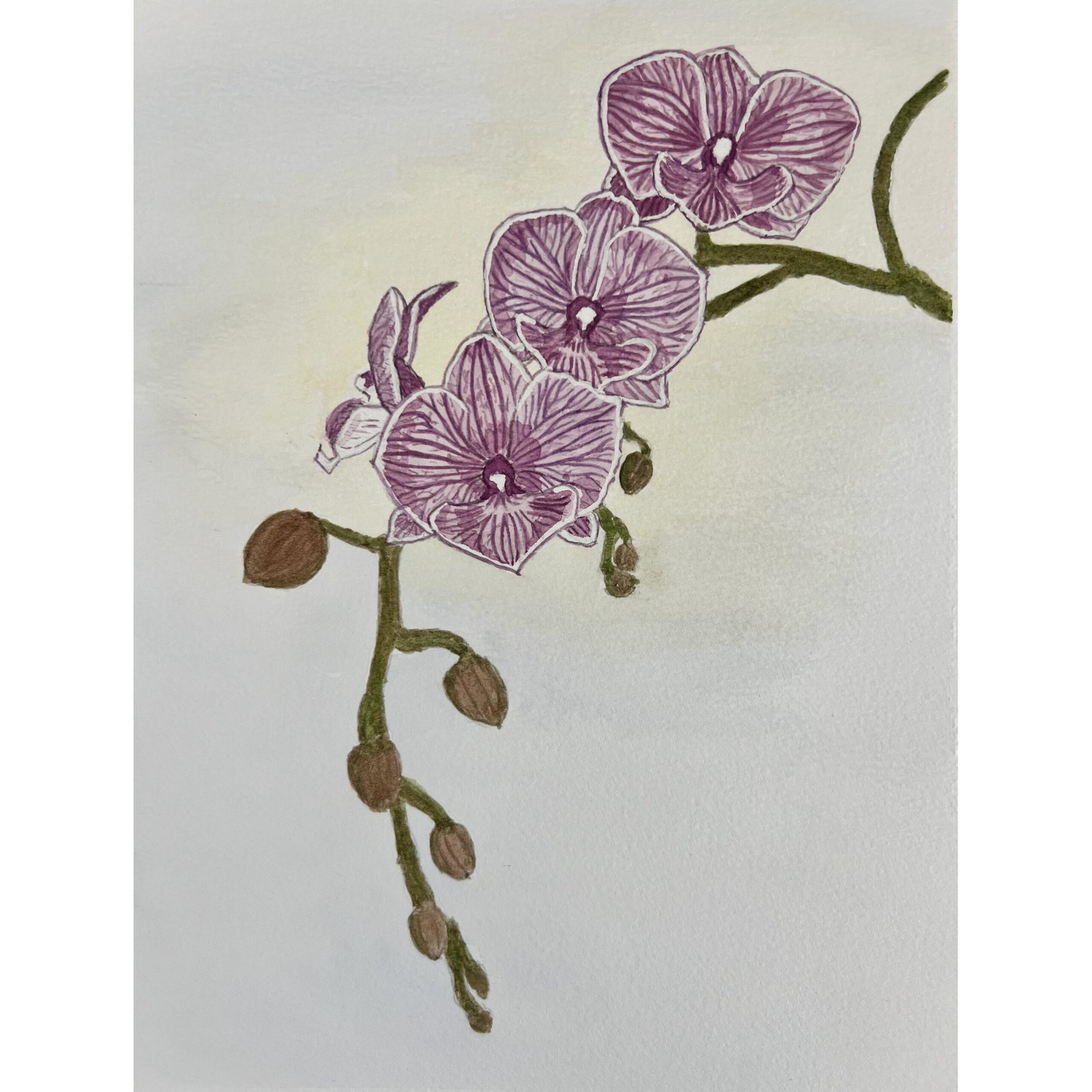 Laura Guillaume Art