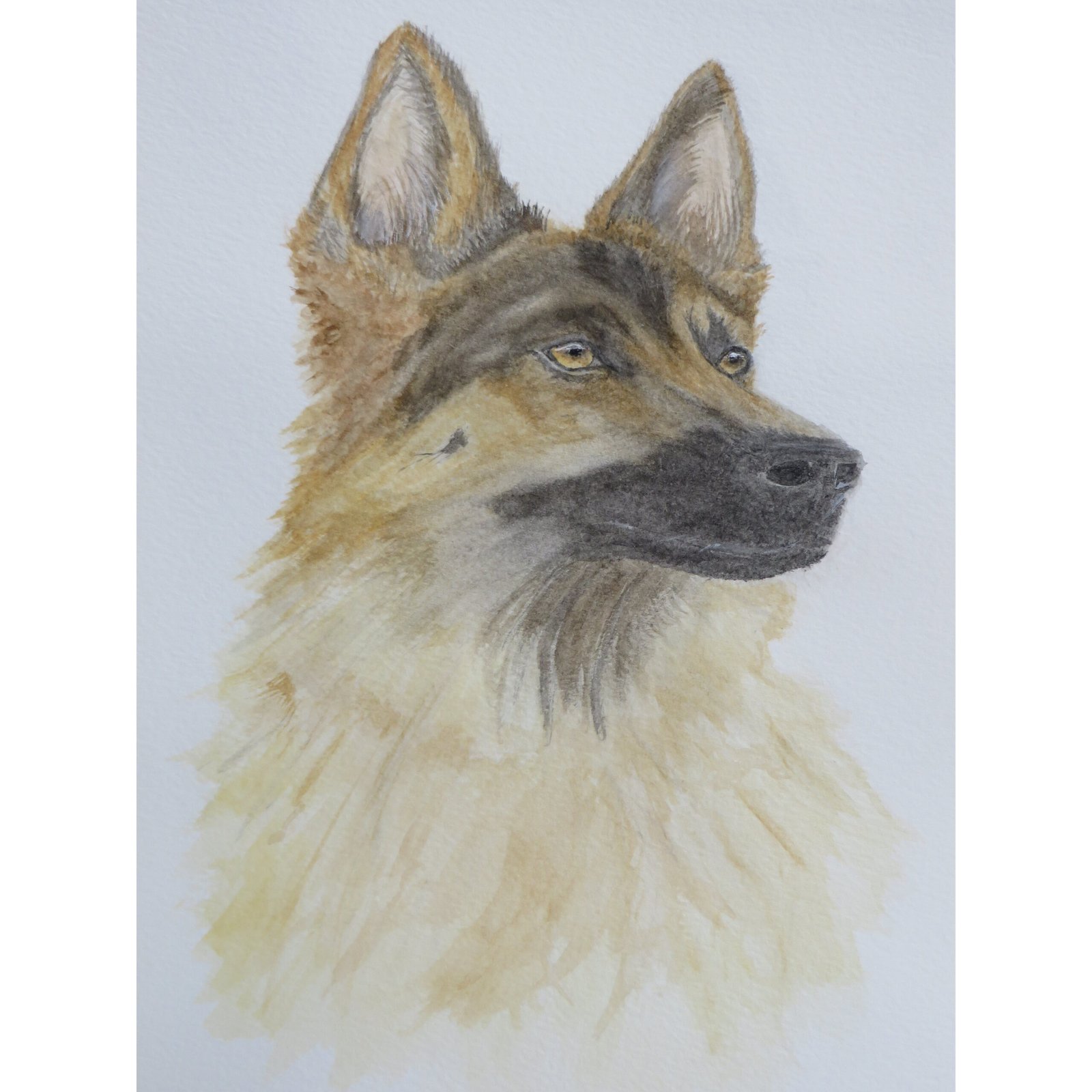 Laura Guillaume Art