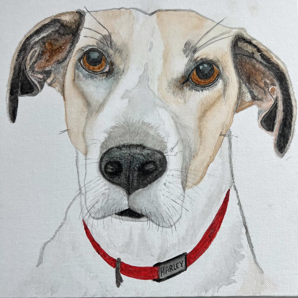 Laura Guillaume Art
