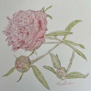 Laura Guillaume Art