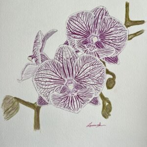 Laura Guillaume Art