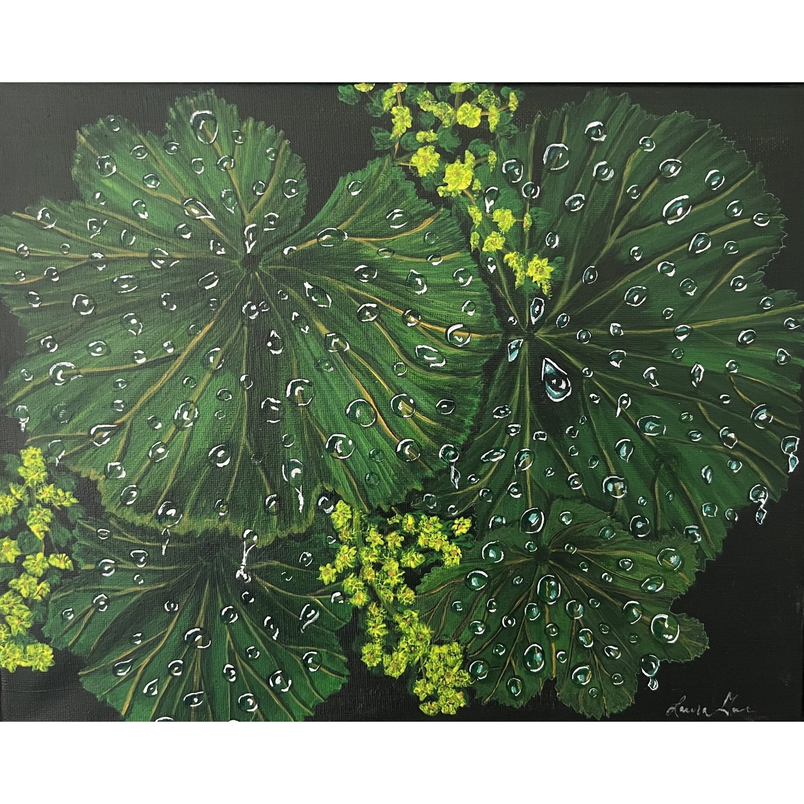 Laura Guillaume Art