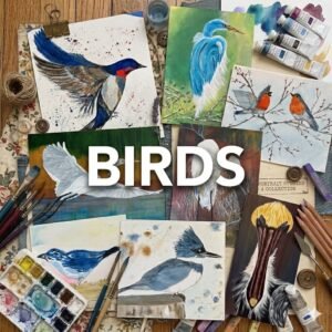birds category